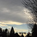 데이앤나잇(Day and night) | 출근일기🇺🇸 51주차 (디렉터와 1:1, 세인트 패트릭스 데이, 전자피아노 구입, 팀회식, 와인앤치즈나잇)