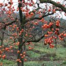 정종희농장 이미지