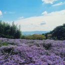 당교3길 이미지