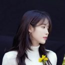 예쁜염색 이미지