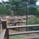 용인시청소년수련원 이미지