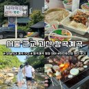 별하나 달하나펜션 | 서울 근교 괴산 쌍곡계곡 평상대여 나라매점 자연휴산장 펜션 내돈내산 후기