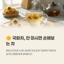 국화차 효능 부작용 카페인 영양성분만들기 물대신 맛 먹는법 총정리