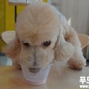 신설식당 이미지