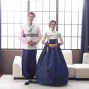 아비올라 이미지