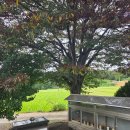 주식회사 천도 이미지