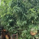 송림여관 이미지