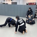 팀매드청주