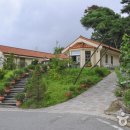 안성장의 이미지