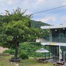 651 | 창원 안민고개 카페 추천｜정원 있는 카페 안민 651 방문기