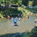 숲속계곡 이미지