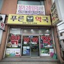 푸른약국 | 태백 약국 추천, 친절한 푸른약국 방문 후기