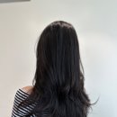 미용실요때 이미지
