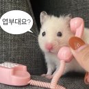 통족 | [인천 미추홀구 간석동 맛집] ‘통족 간석 본점’ 다녀온 찐 내돈내산 후기✨