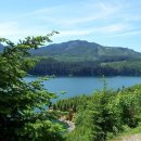 여행영어 초급 이미지