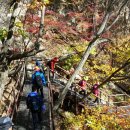 목감농장 이미지