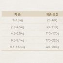 웰니스브리스