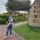 손뜨개동산