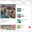 강아지 호텔 이미지