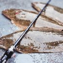 오일시2길 | 광어 다운샷 시즌 분위기 시작? 태안 백사장항 영차호 후기