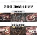 금호동물병원 이미지
