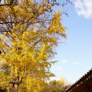 나주향교 이미지