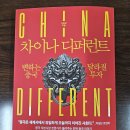 차이나 디퍼런트 - 아널드 토인비 이미지