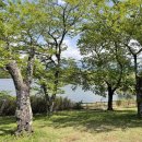 호수낚시 - 화천군 상승로 28-1 | 시즈오카 여행 후지산 뷰 타누키 호수 전망대 흐린날 후기