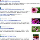 맑은샘농장 이미지