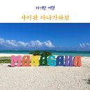 사이판 마나가하섬 매점 준비물 예약 방법 아기랑 다녀온 후기