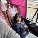 인더짐 유아 태권도 | 능곡동 이벤트 맛집 태권도 맛집 [Feat.열정태권도]