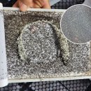 전북특별자치도농업기술원 이미지