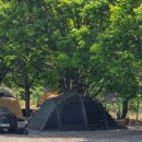 🏕남자친구랑 1박 2일 캠핑🌿 <가평 아지트 캠핑장> 후기✨️