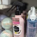 카멜리아 이미지