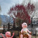 간전중앙로 이미지