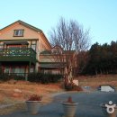 양지팬션 이미지