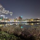 쌍암공원1 이미지