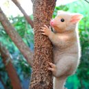 원커피 won coffee 이미지