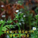 열혈 조사님들! - 만정지 이미지