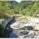 동촌농장 이미지