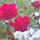 볼눈경로당 이미지