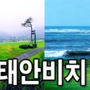 [1박2일 마감] 02/19(일)~20(월) 태안비치cc 17.5만 부부대기 이미지