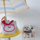 마슨잇댕 이미지