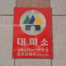 다문화거리_신한은행앞 | 안산시 다문화 거리 답사