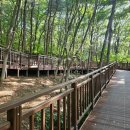 우면산6-6 이미지