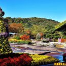 대구수목원 이미지