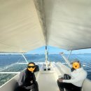 함께가는 거북이약국 | 보홀여행 | 내가 선택한 호핑투어는? 발리카삭보다 좋았던 파밀라칸 프라이빗 투어