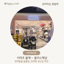펫메이트(주) | 월계 이마트 반려동물 용품점 | 몰리스펫샵(MOLLY'S) 반려묘 장난감 추천