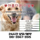 울산반려동물장례식장 추천(2025), 비교, 이용후기 I 장례비용 소동물 15만원, 기본장례 20만원