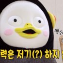 화훼장식기능사 이미지